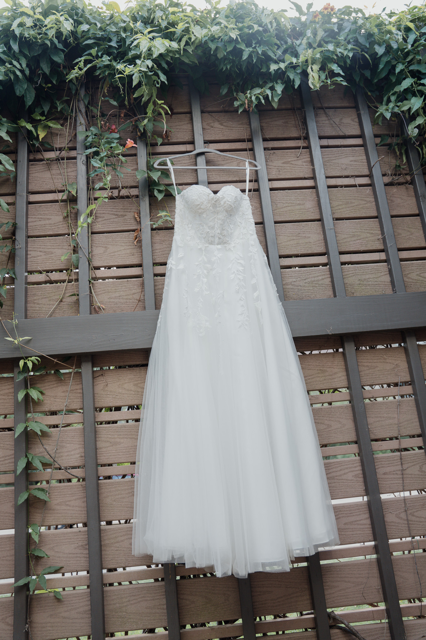 Wedding photographer Houston